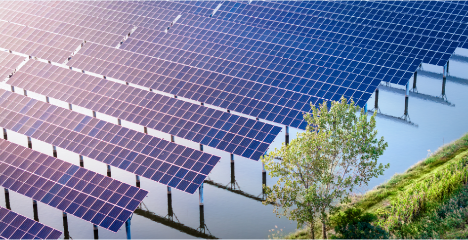 �������ǲ���(�й���)�ٷ���վ